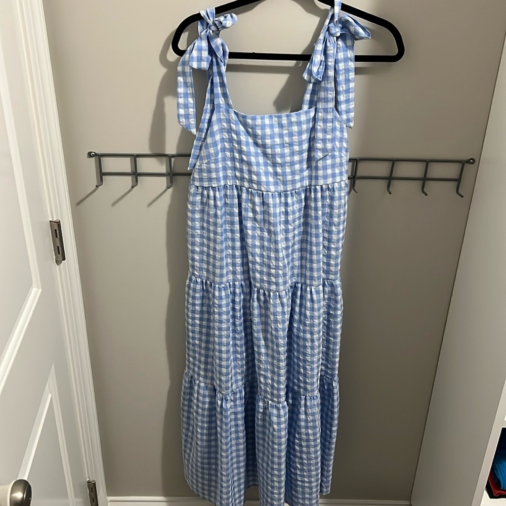 Blue gingham dress